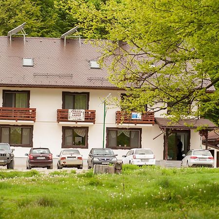 Cabana Barlogul Lupilor Villa Berevoesti Bagian luar foto