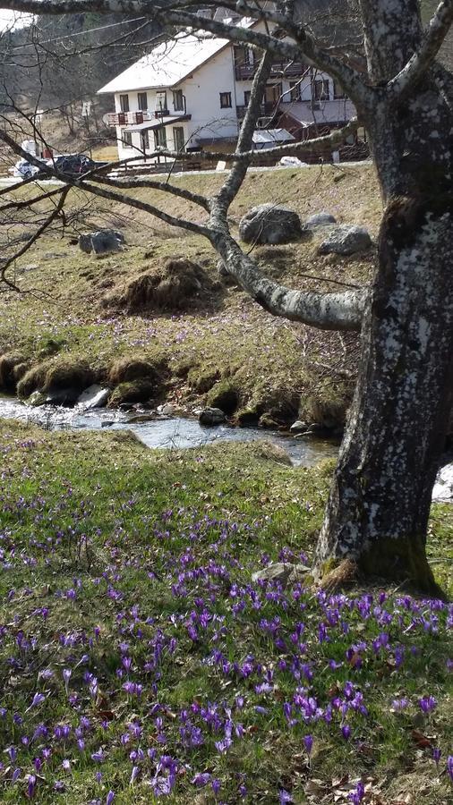 Cabana Barlogul Lupilor Villa Berevoesti Bagian luar foto
