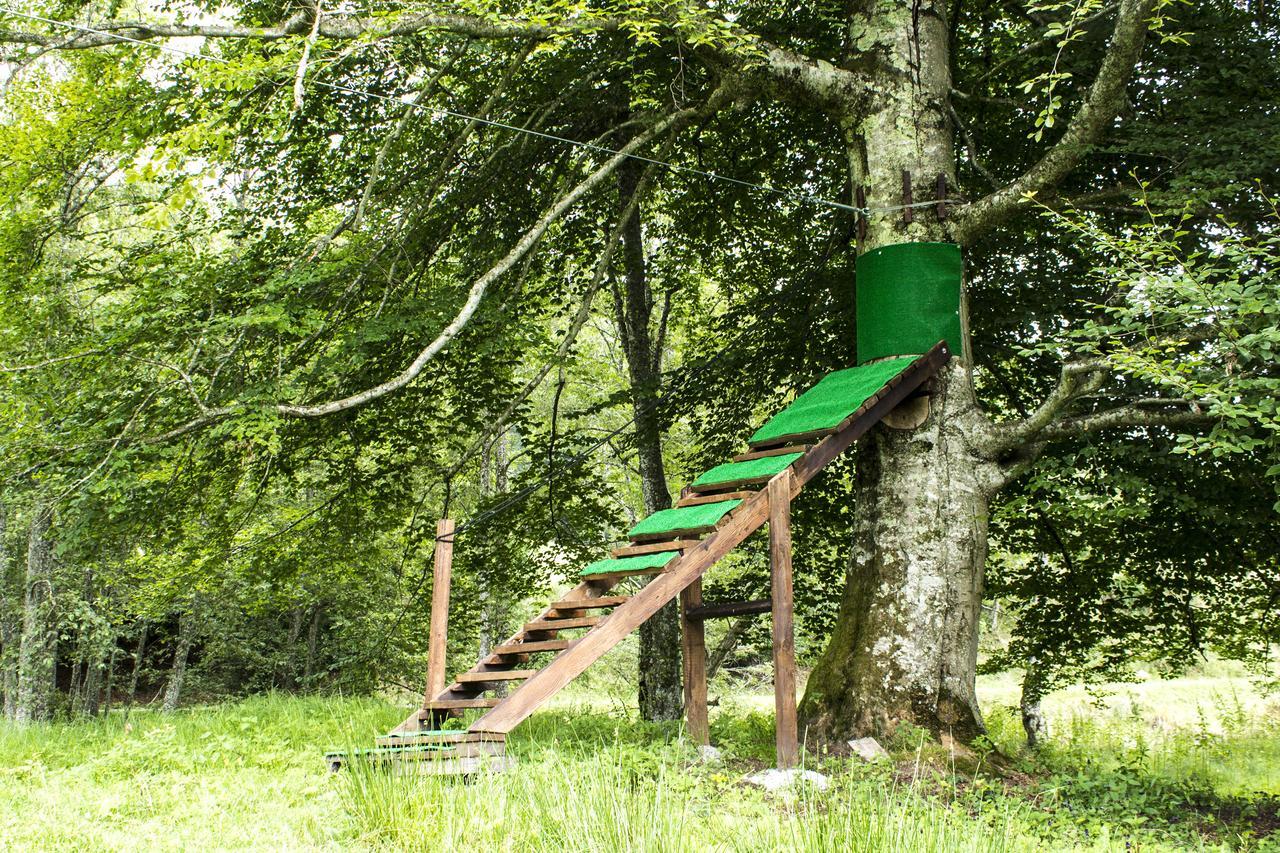 Cabana Barlogul Lupilor Villa Berevoesti Bagian luar foto