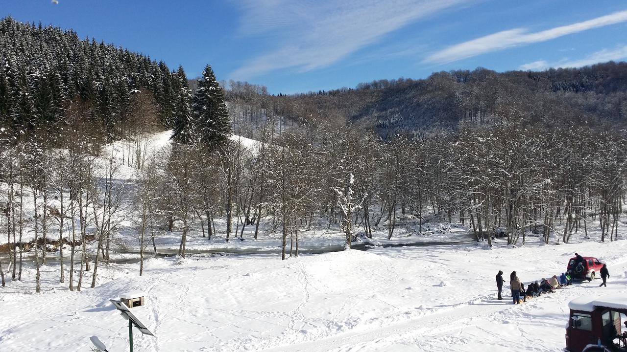 Cabana Barlogul Lupilor Villa Berevoesti Bagian luar foto