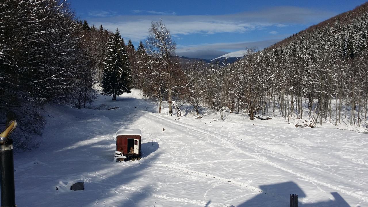 Cabana Barlogul Lupilor Villa Berevoesti Bagian luar foto