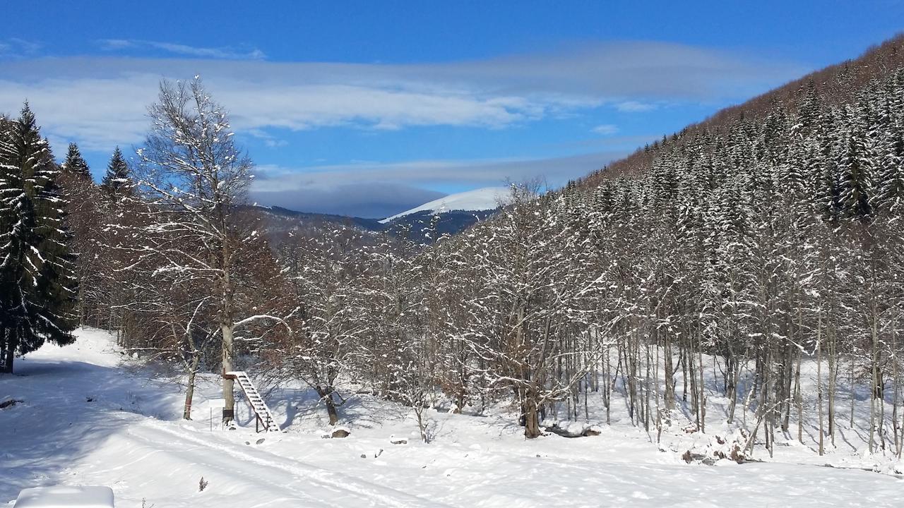 Cabana Barlogul Lupilor Villa Berevoesti Bagian luar foto