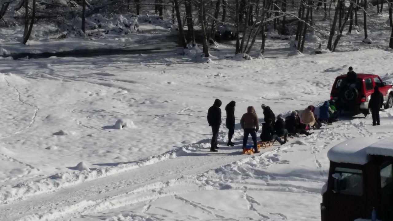 Cabana Barlogul Lupilor Villa Berevoesti Bagian luar foto